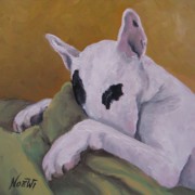 English Bull Terrier For Sale