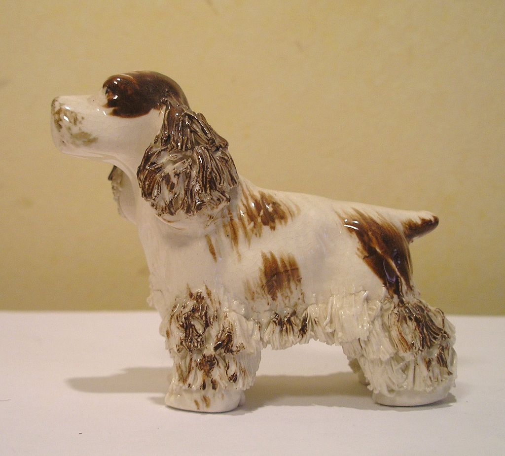 English Cocker Spaniel Dog