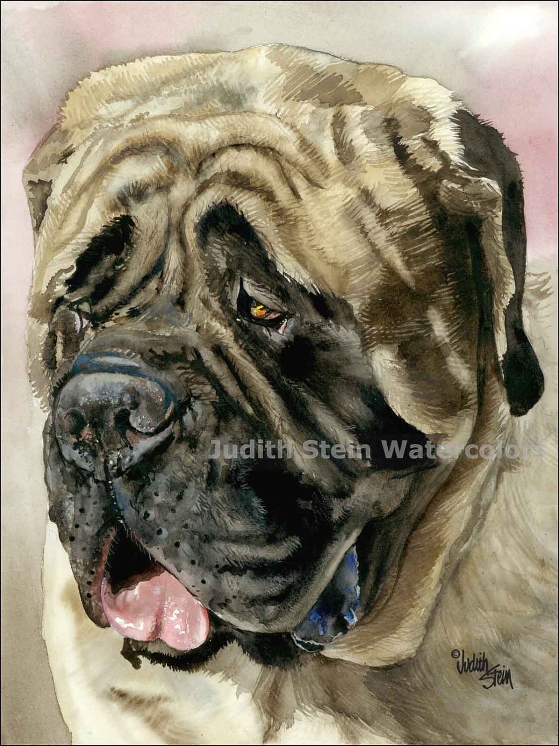 English Mastiff Dog Breed