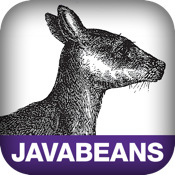 Enterprise Javabeans 3.1