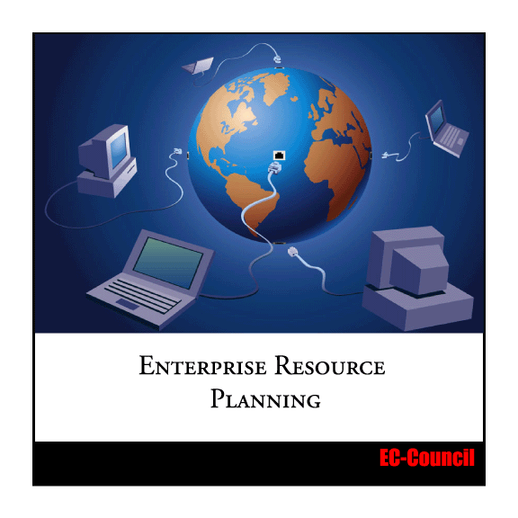 Enterprise Resource Planning (erp)