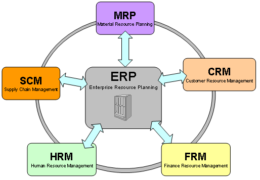 Enterprise Resource Planning (erp) Systems