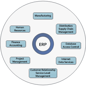 Enterprise Resource Planning