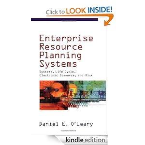 Enterprise Resource Planning Systems Examples