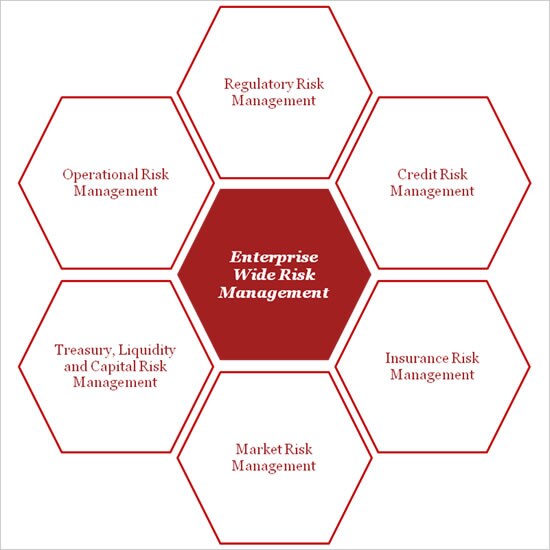 Enterprise Risk Management