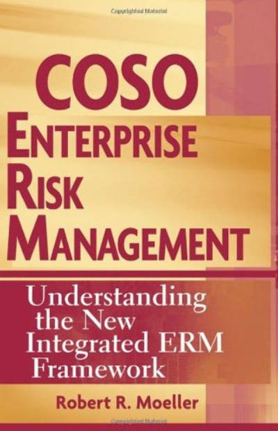 Enterprise Risk Management For Dummies