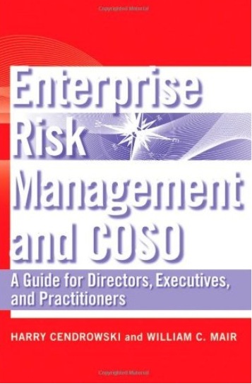 Enterprise Risk Management For Dummies Download