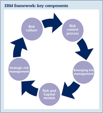 Enterprise Risk Management Framework Definition