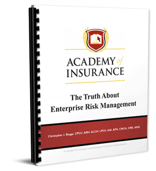 Enterprise Risk Management Framework Examples