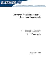 Enterprise Risk Management Integrated Framework