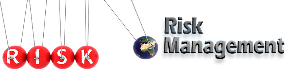 Enterprise Risk Management Training