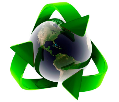 Environmental Issues Logo