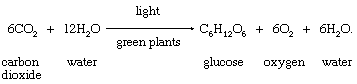 Equation For Photosynthesis For Kids