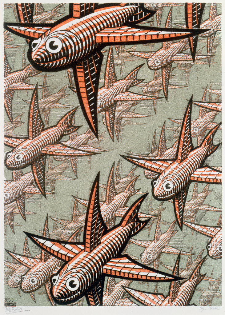 Escher Drawings Fish