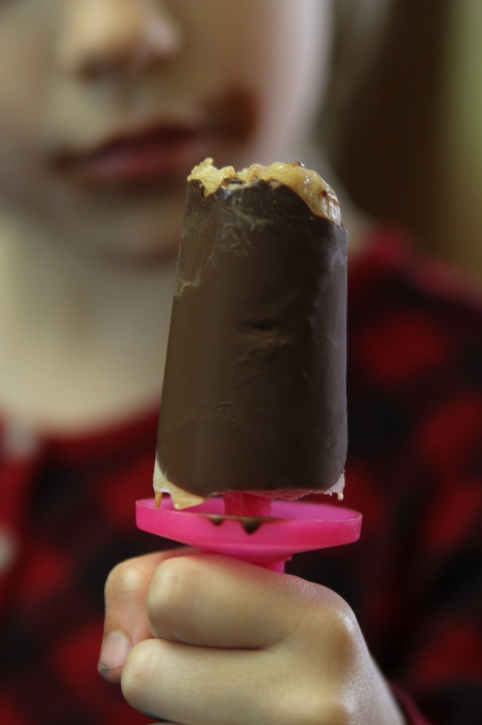 Eskimo Pie Ice Cream Sandwich