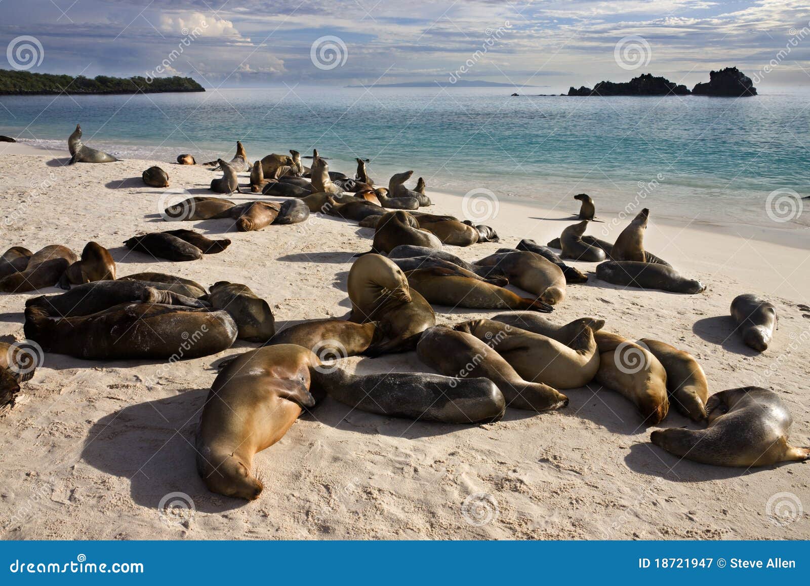 Espanola Galapagos Islands