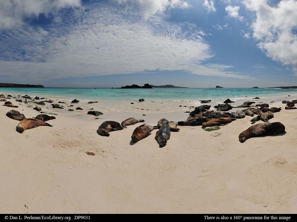 Espanola Island Galapagos