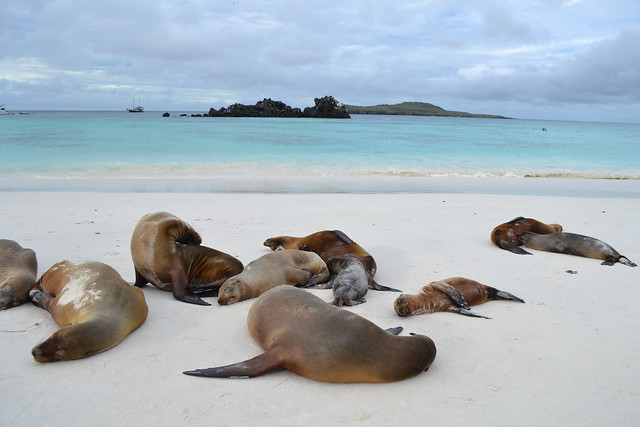 Espanola Island Galapagos