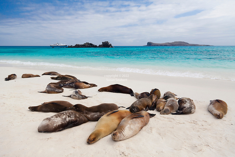 Espanola Island Galapagos