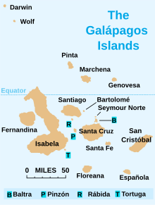 Espanola Island Topography