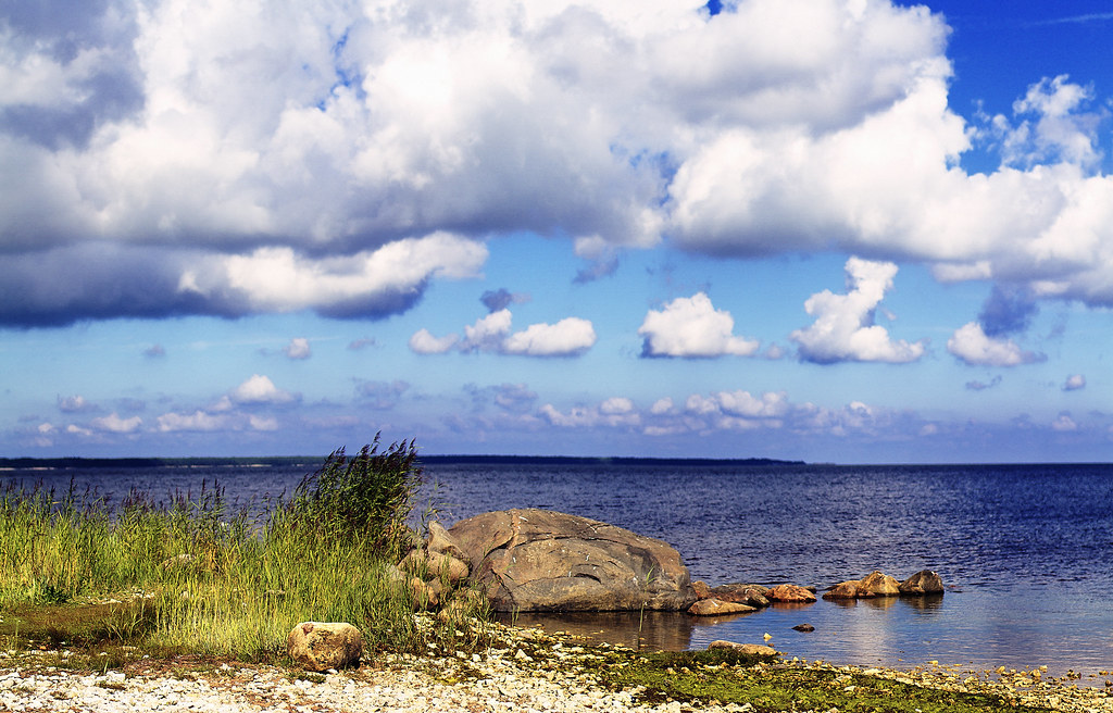 Estonia Landscape