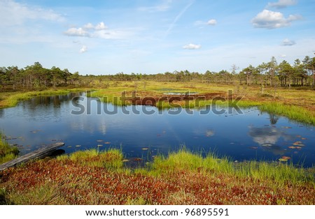 Estonia Landscape