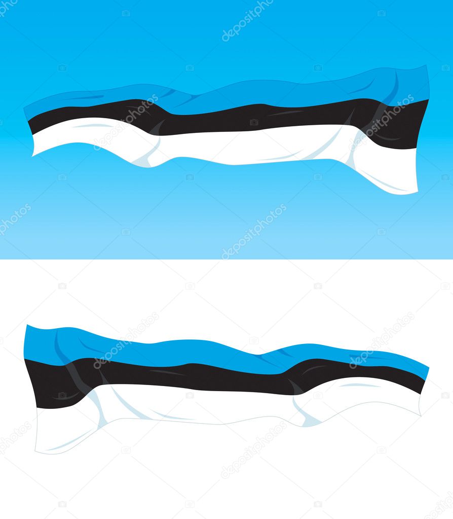 Estonian Flag