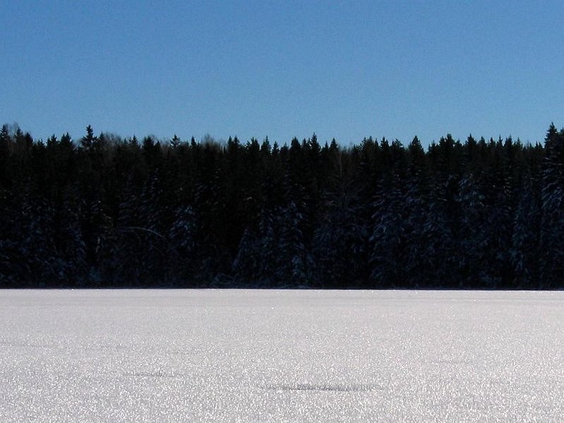 Estonian Flag