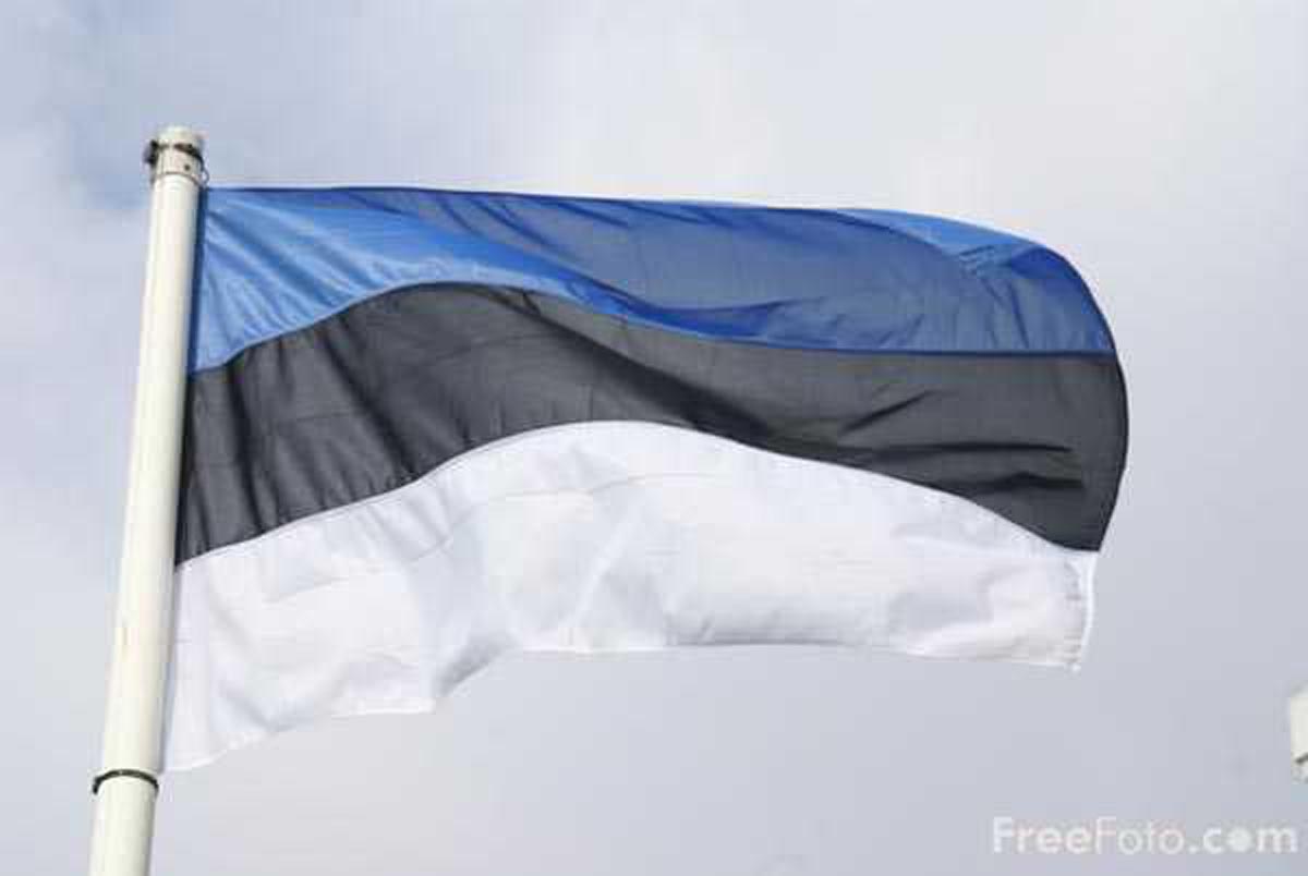 Estonian Flag