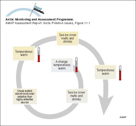 Examples Of Negative Feedback Loops In The Human Body