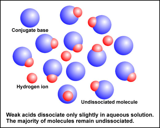 Examples Of Products And Reactants