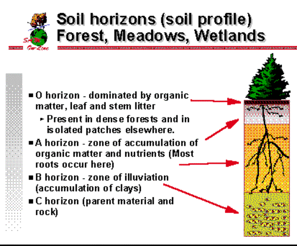 Exfoliation Weathering Diagram