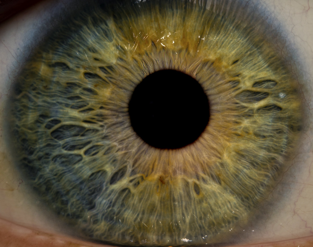 Eye Iris Photography