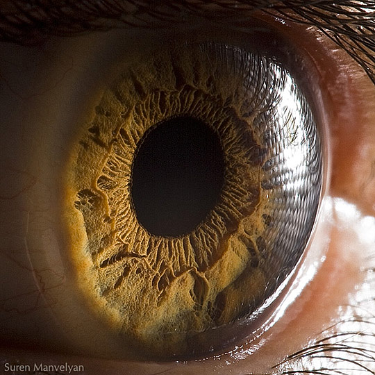 Eye Iris Photography