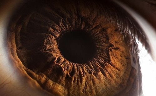 Eye Iris Photography