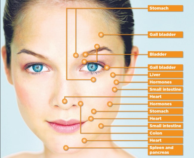 Face Pressure Points Chart