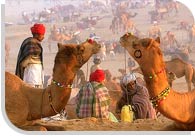 Fairs And Festivals Of Rajasthan