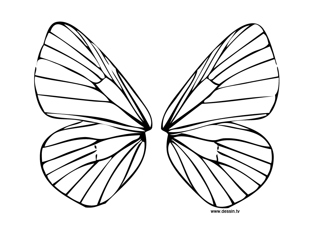 Fairy Wings Drawing