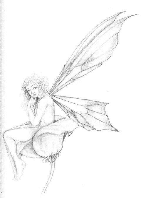 Fairy Wings Drawing