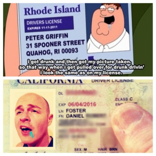 Family Guy Peter Drunk Driving