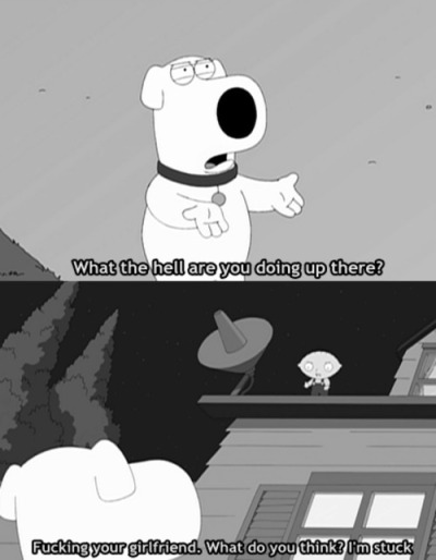 Family Guy Stewie And Brian Funny