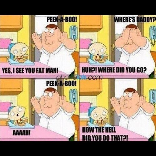 Family Guy Stewie Funny Pics