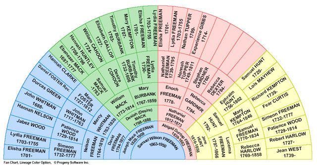 Family Tree Chart Free Download