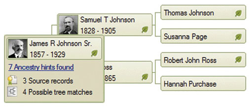 Family Tree Chart Maker Free Download