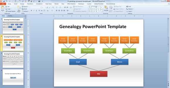 Family Tree Chart Template Powerpoint