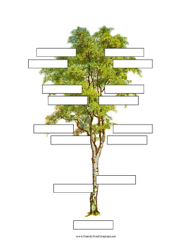 Family Tree Template For Children Free