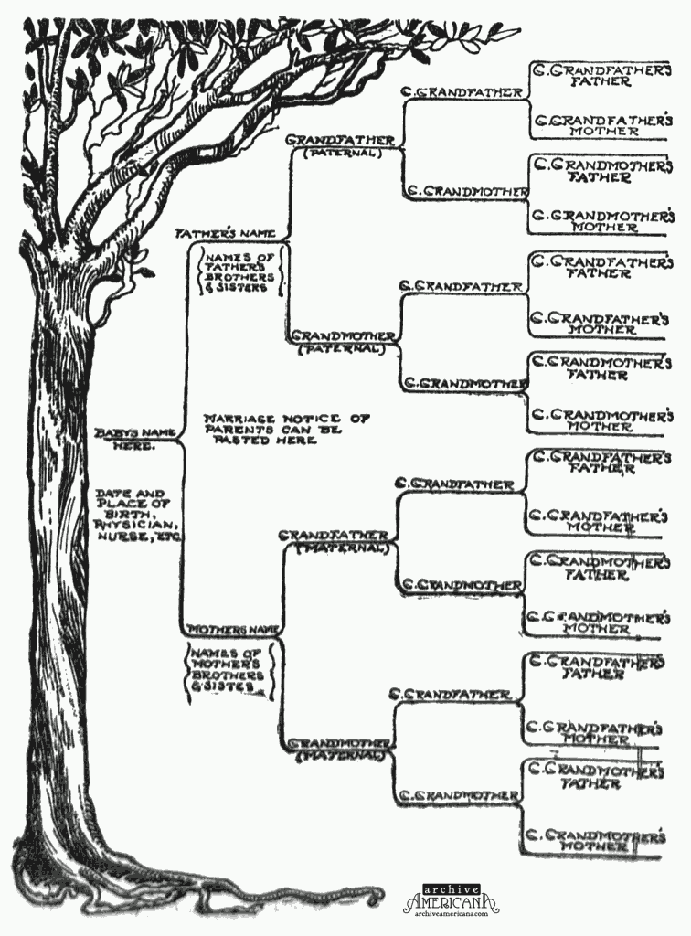 Family Tree Template For Children Free