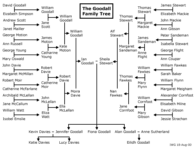 Family Tree Template For Children Free Printable