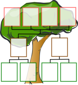 Family Tree Template For Kids 3 Generations