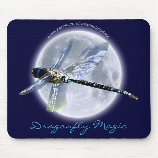 Fantasy Dragonfly Artwork